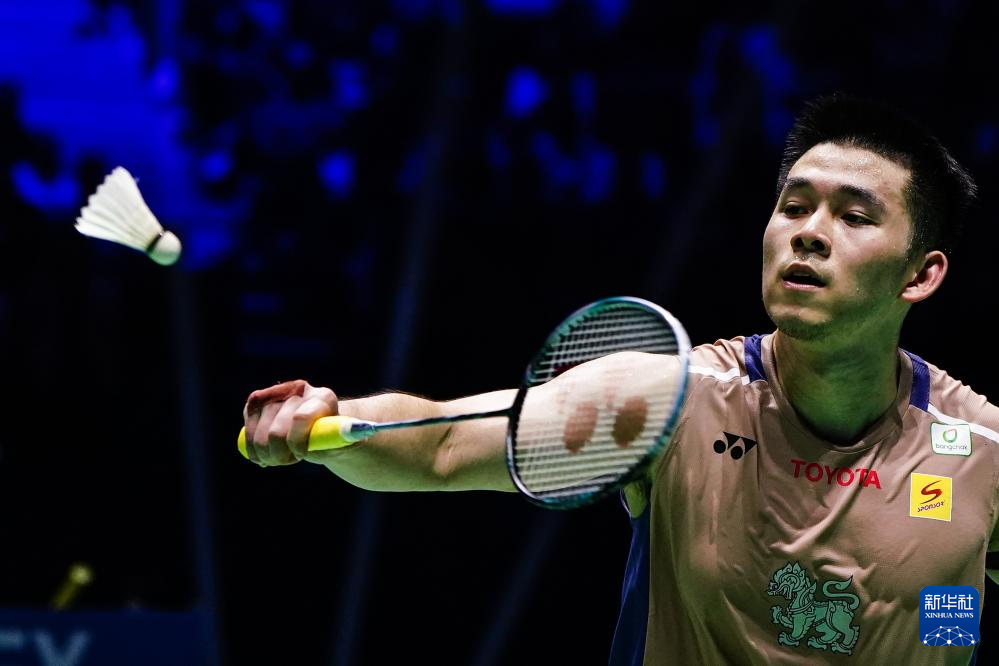 观众基础 观众基础